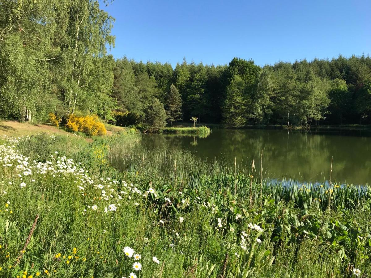 Quarré-les-Tombes Morvan La Pastourelle מראה חיצוני תמונה