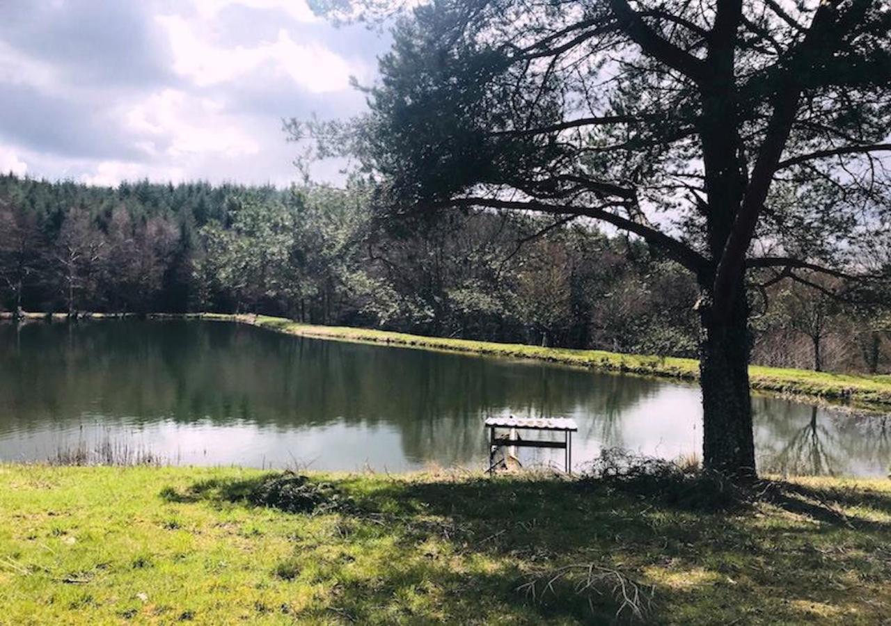 Quarré-les-Tombes Morvan La Pastourelle מראה חיצוני תמונה