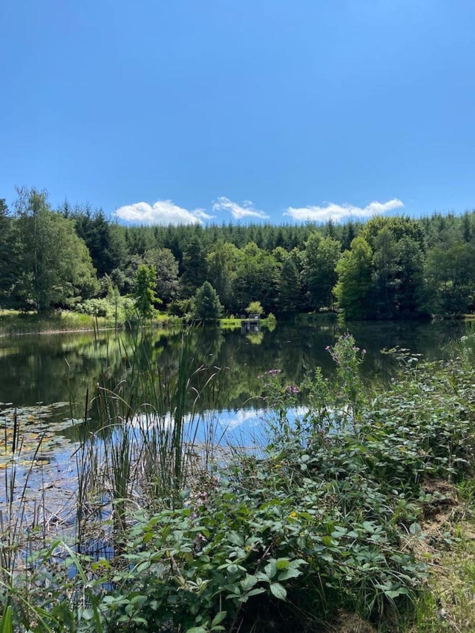 Quarré-les-Tombes Morvan La Pastourelle מראה חיצוני תמונה